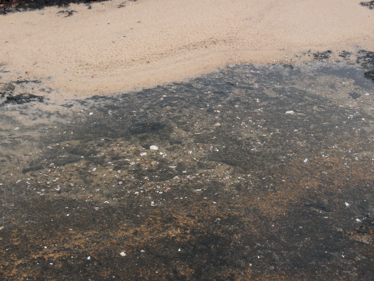 Praia de Itaquatiara
